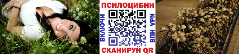 Галлюциногенные грибы Psilocybine cubensis  blacksprut сайт  Полевской 